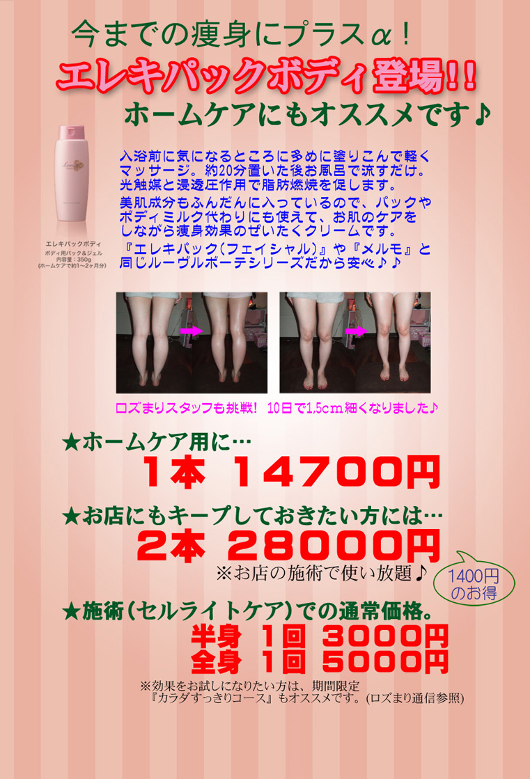 エレキパックボディ