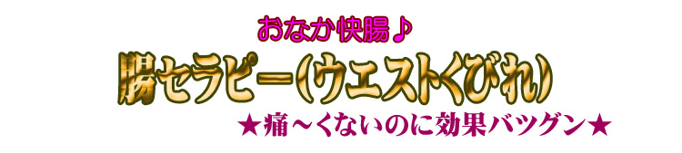 腸セラピー